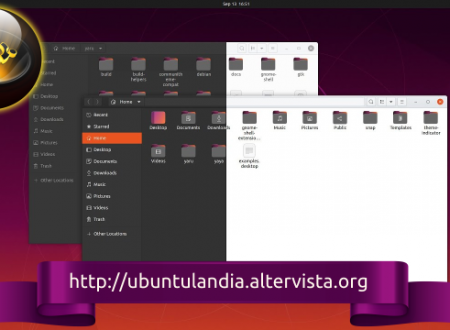 Pronte per il download Ubuntu 20.04 LTS “Focal Fossa” e derivate ufficiali.